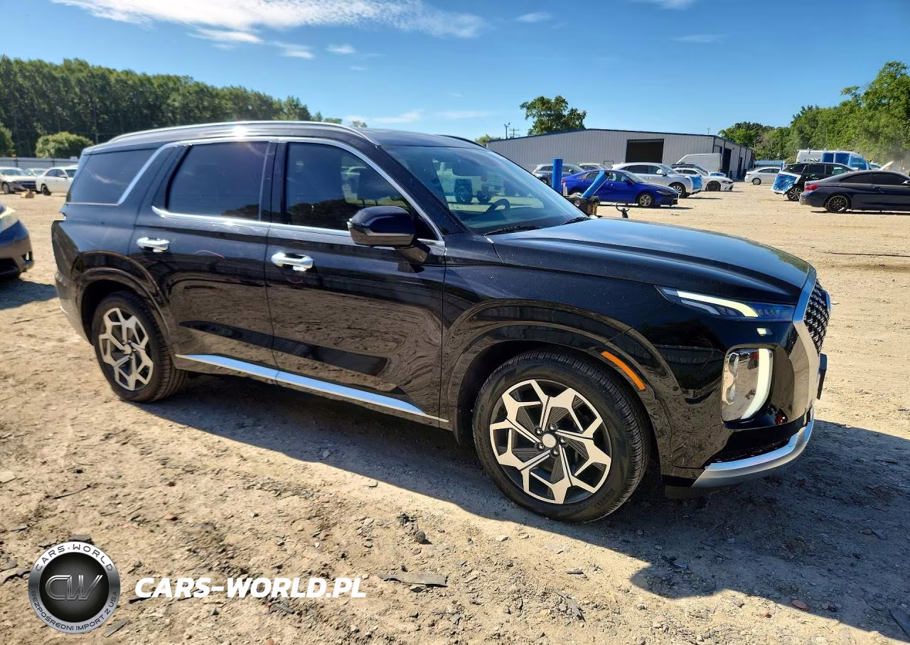 2021 Hyundai Palisade Calligraphy VIN:KM8R7DHEXMU265383 - 4