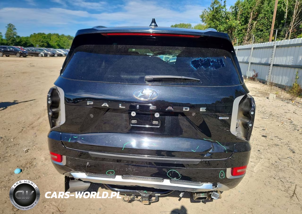 2021 Hyundai Palisade Calligraphy VIN:KM8R7DHEXMU265383 - 6