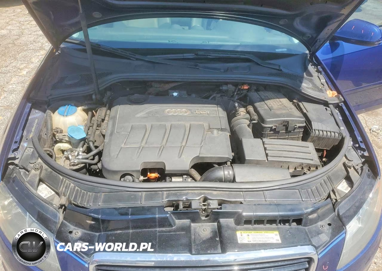 2011 Audi A3 Premium VIN:WAUBJAFM0BA056536 - 11