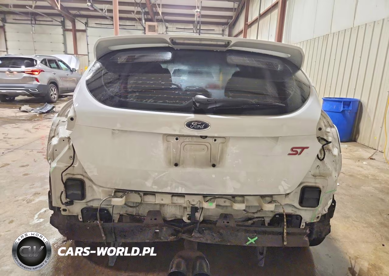 2015 Ford Focus St VIN:1FADP3L90FL304015 - 6