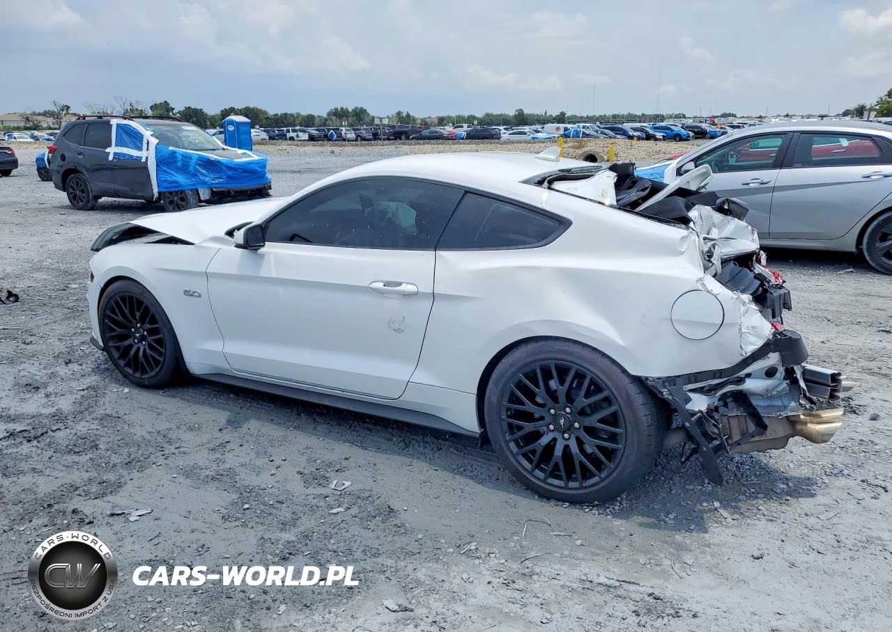 2020 Ford Mustang Gt VIN:1FA6P8CF2L5169387 - 2