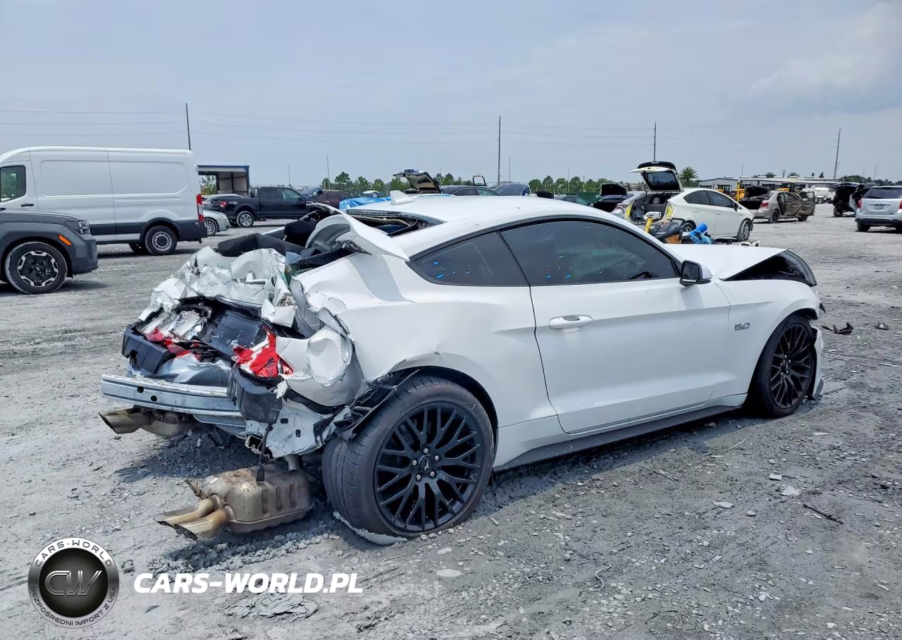 2020 Ford Mustang Gt VIN:1FA6P8CF2L5169387 - 3