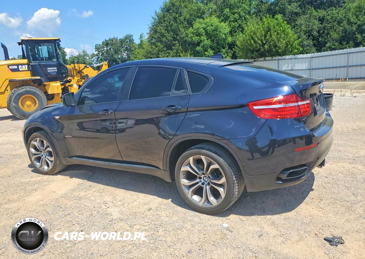 2013 BMW X6 xDrive50I VIN:5UXFG8C50DL591476 - 2