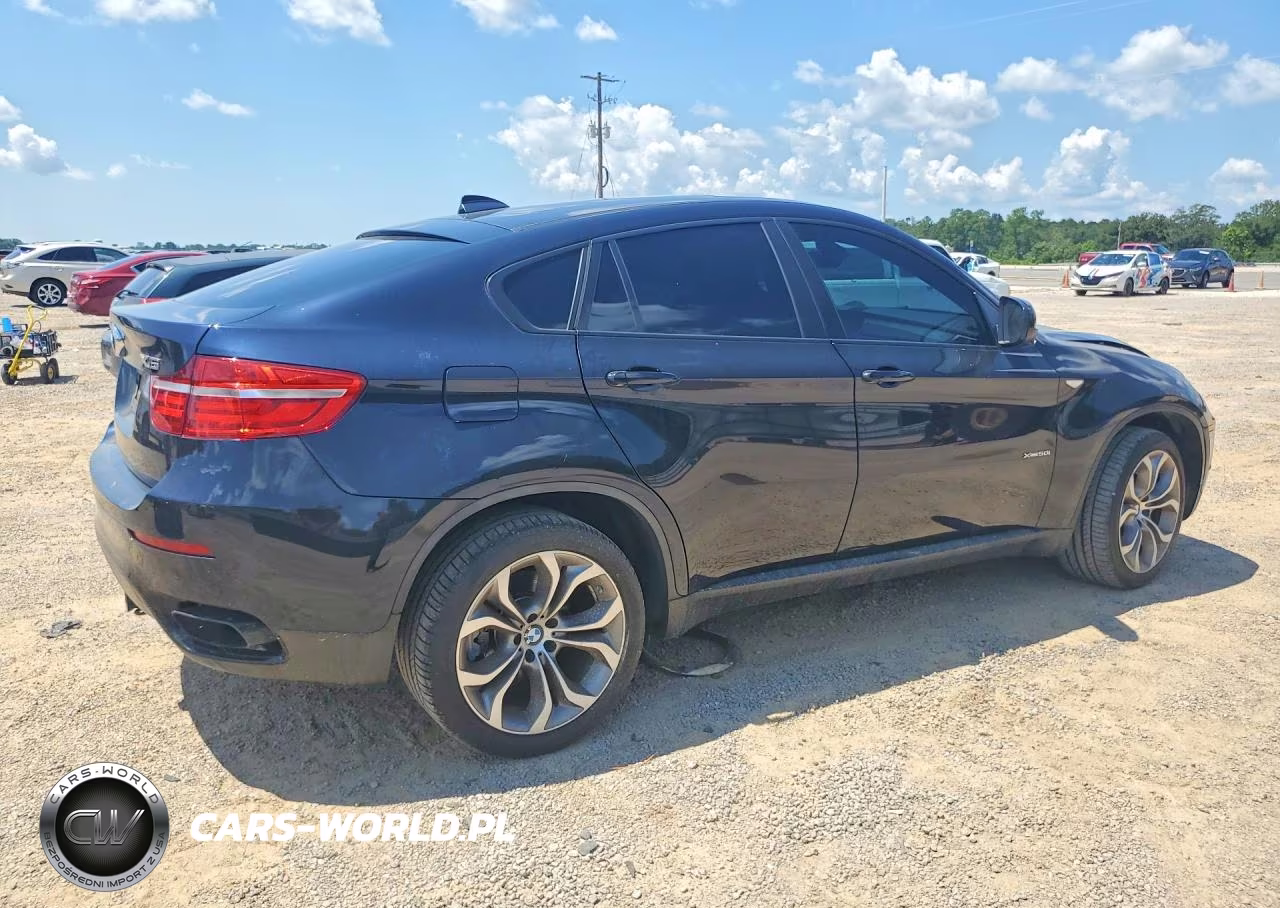 2013 BMW X6 xDrive50I VIN:5UXFG8C50DL591476 - 3