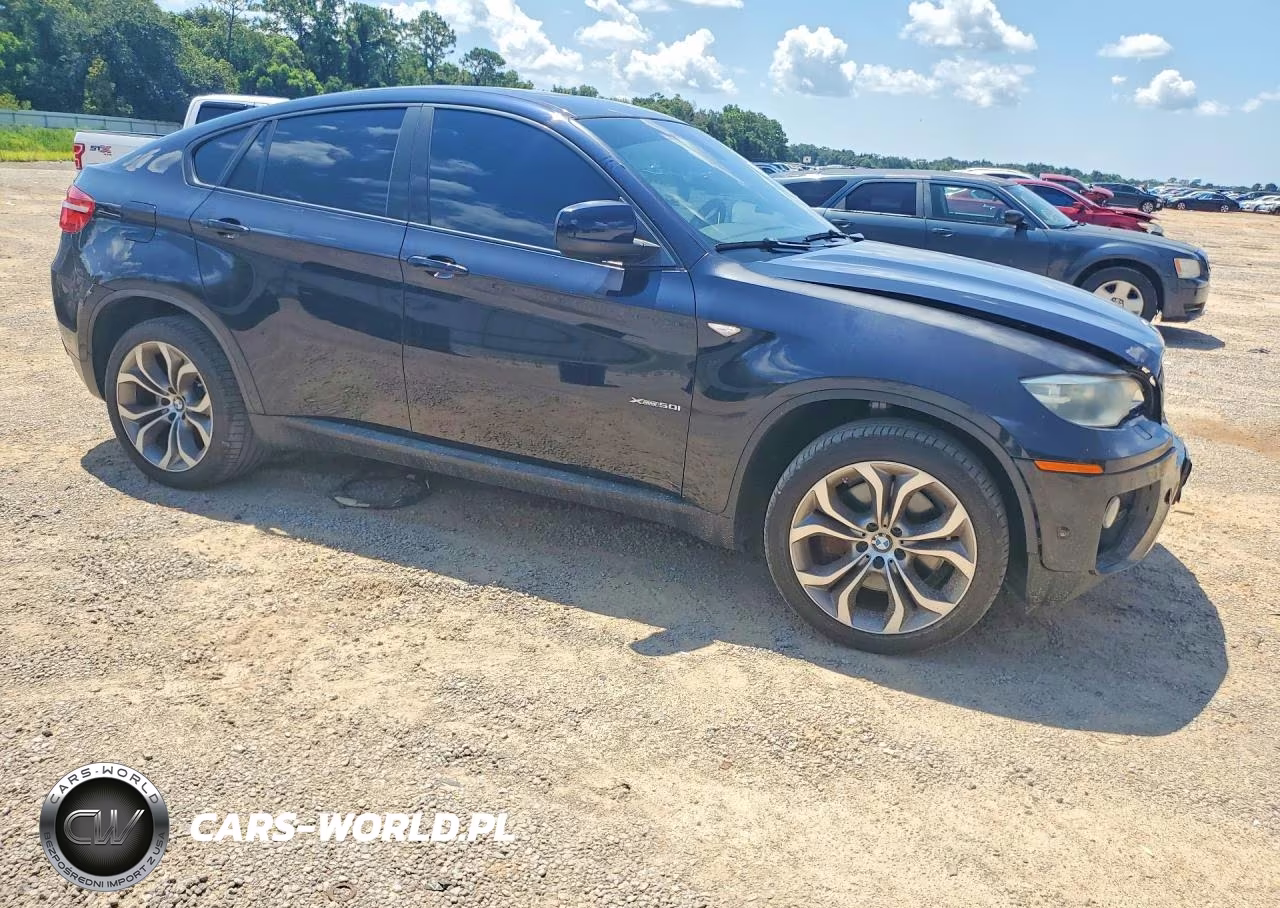 2013 BMW X6 xDrive50I VIN:5UXFG8C50DL591476 - 4