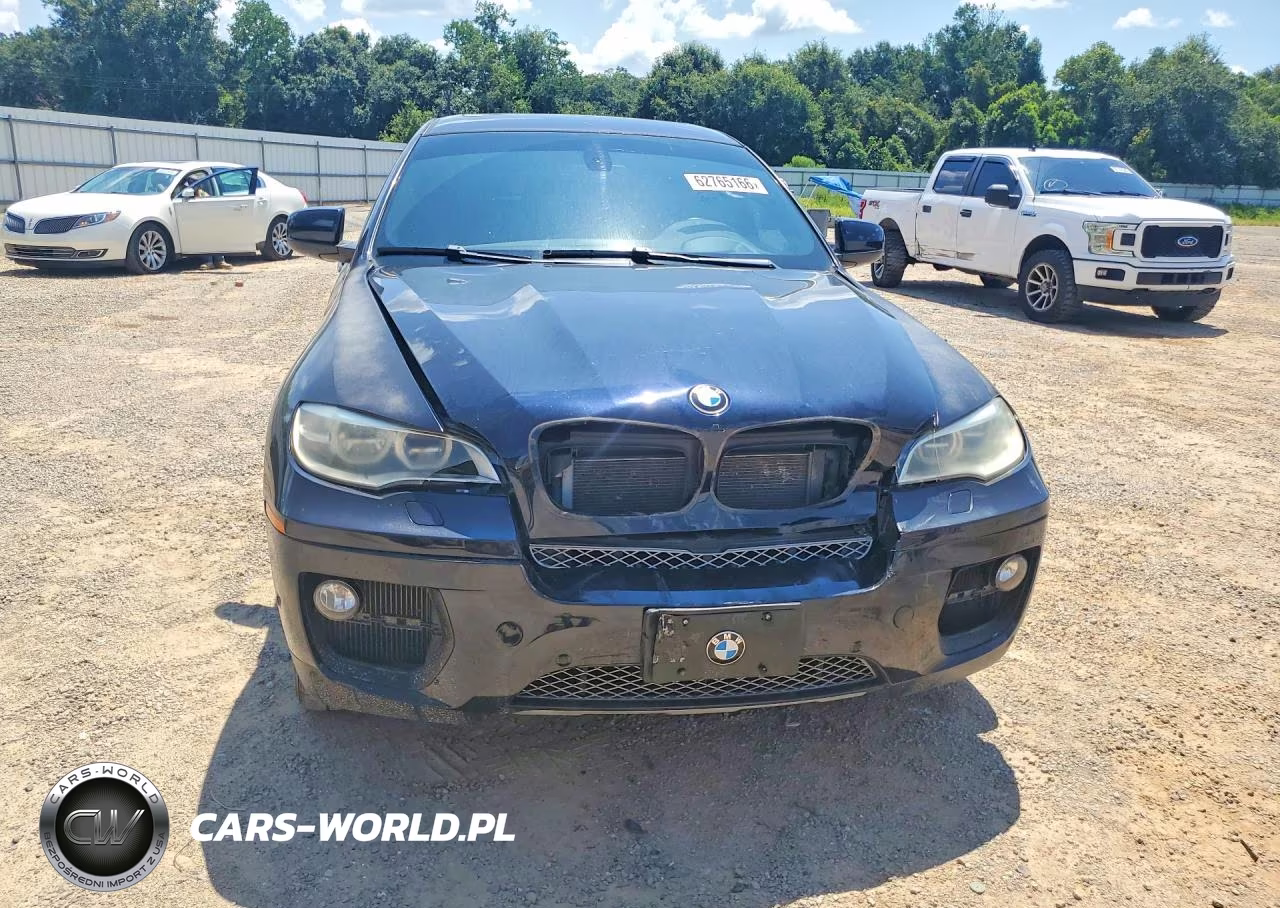 2013 BMW X6 xDrive50I VIN:5UXFG8C50DL591476 - 5