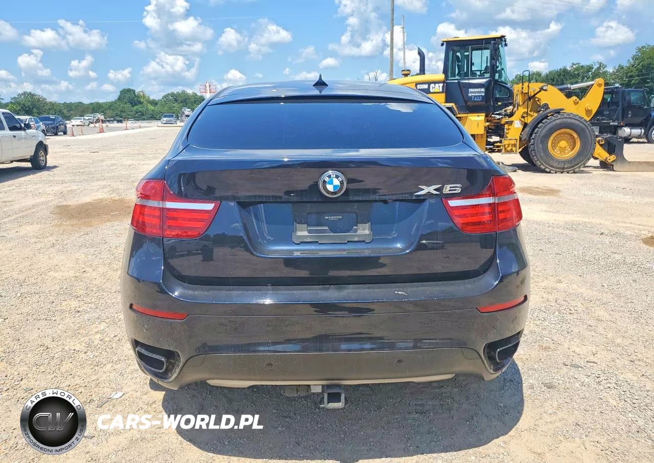 2013 BMW X6 xDrive50I VIN:5UXFG8C50DL591476 - 6