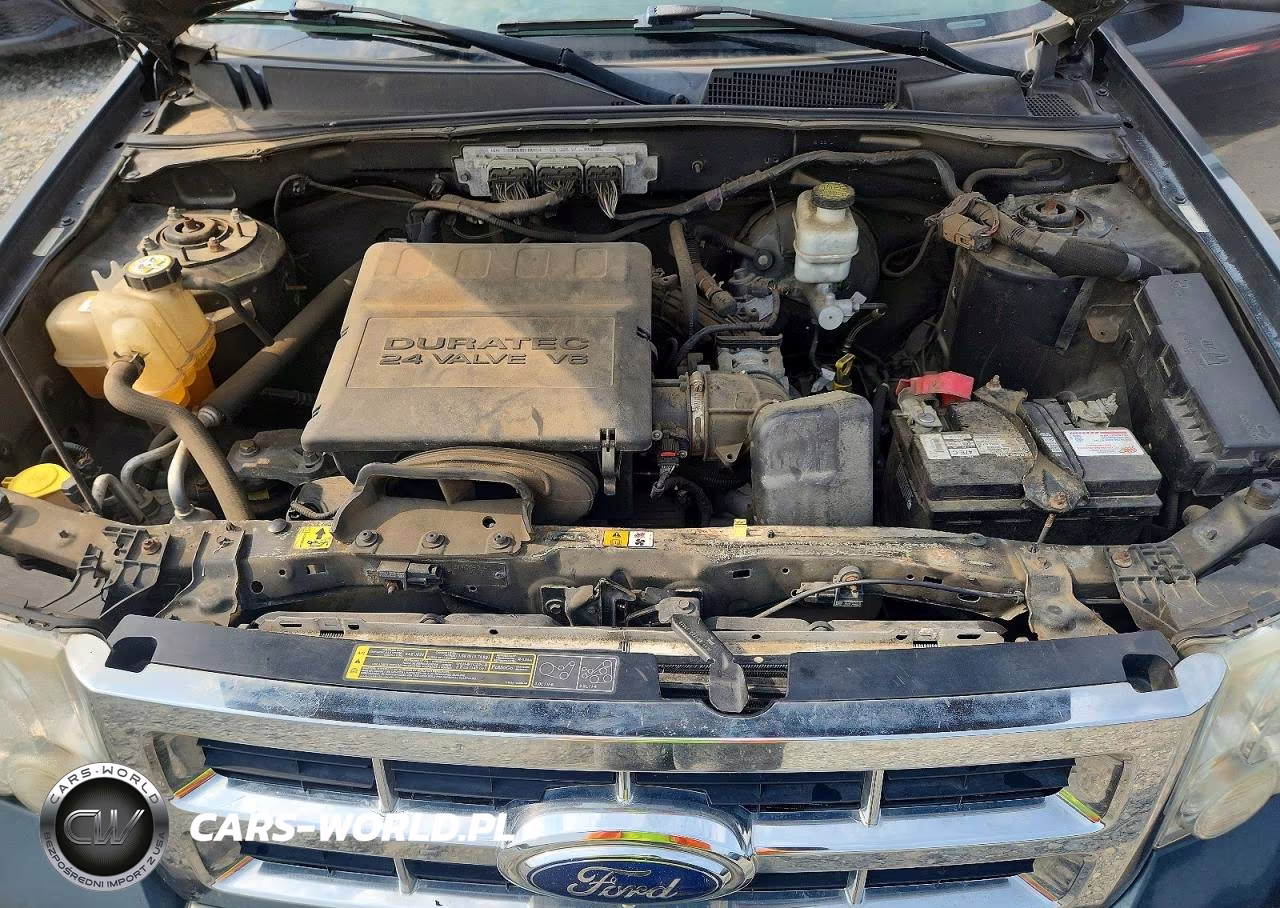 2009 Ford Escape Xlt VIN:1FMCU03G59KD04111 - 12
