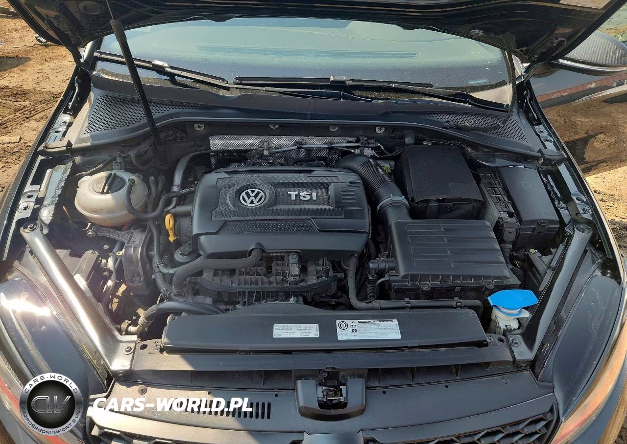 2017 Volkswagen Gti S-Se VIN:3VW447AU4HM058473 - 11
