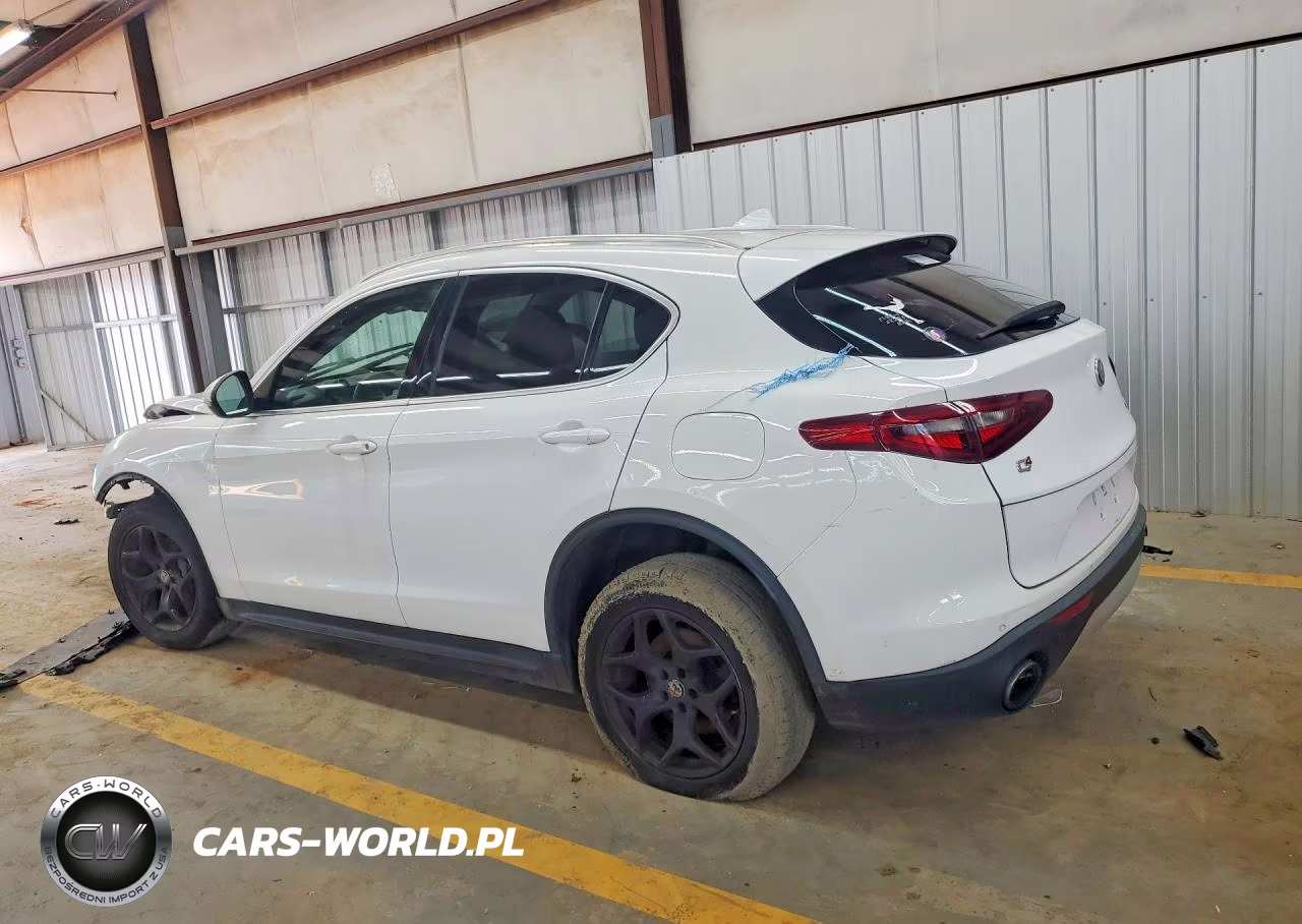 2019 Alfa Romeo Stelvio VIN:ZASPAKAN3K7C30134 - 2