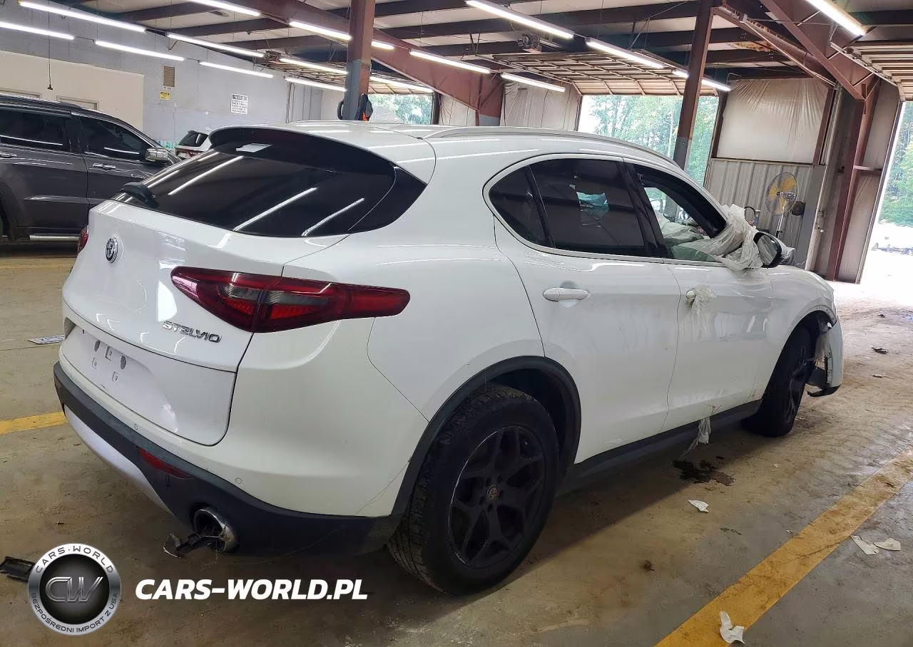 2019 Alfa Romeo Stelvio VIN:ZASPAKAN3K7C30134 - 3