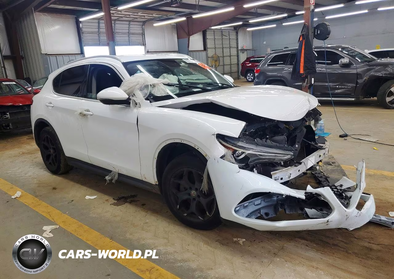 2019 Alfa Romeo Stelvio VIN:ZASPAKAN3K7C30134 - 4