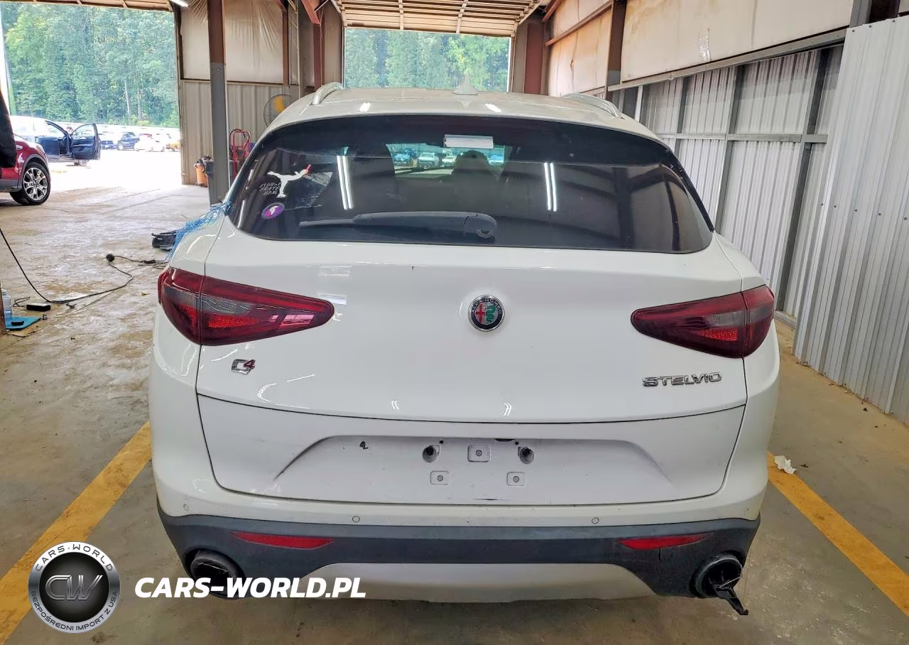 2019 Alfa Romeo Stelvio VIN:ZASPAKAN3K7C30134 - 6