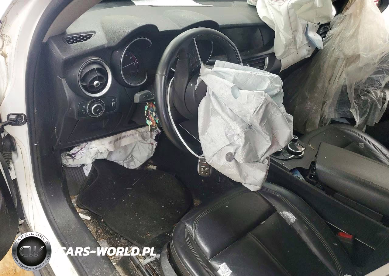 2019 Alfa Romeo Stelvio VIN:ZASPAKAN3K7C30134 - 8