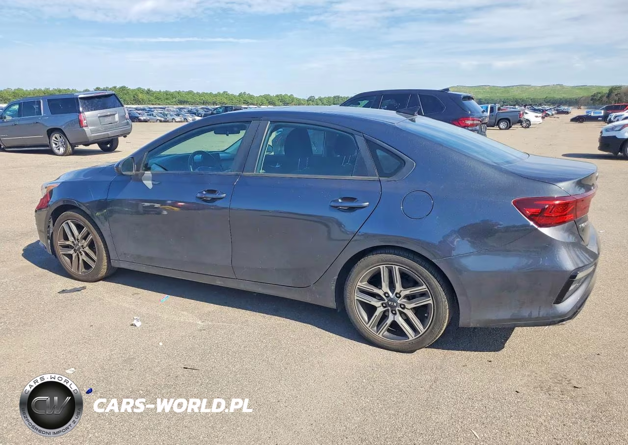2019 Kia Forte S VIN:3KPF34AD1KE046408 - 2