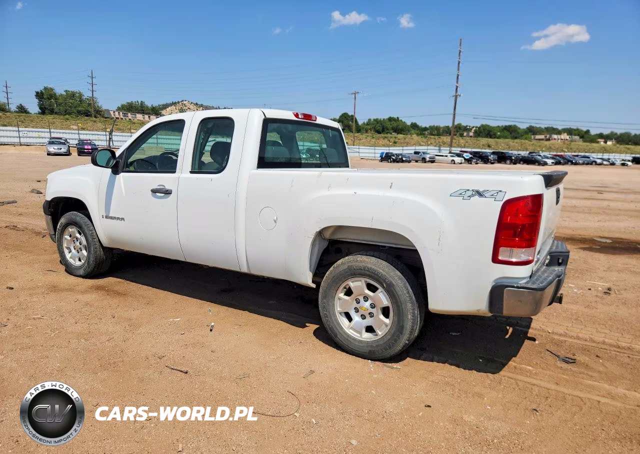2009 GMC Sierra K1500 VIN:1GTEK19C99Z226050 - 2