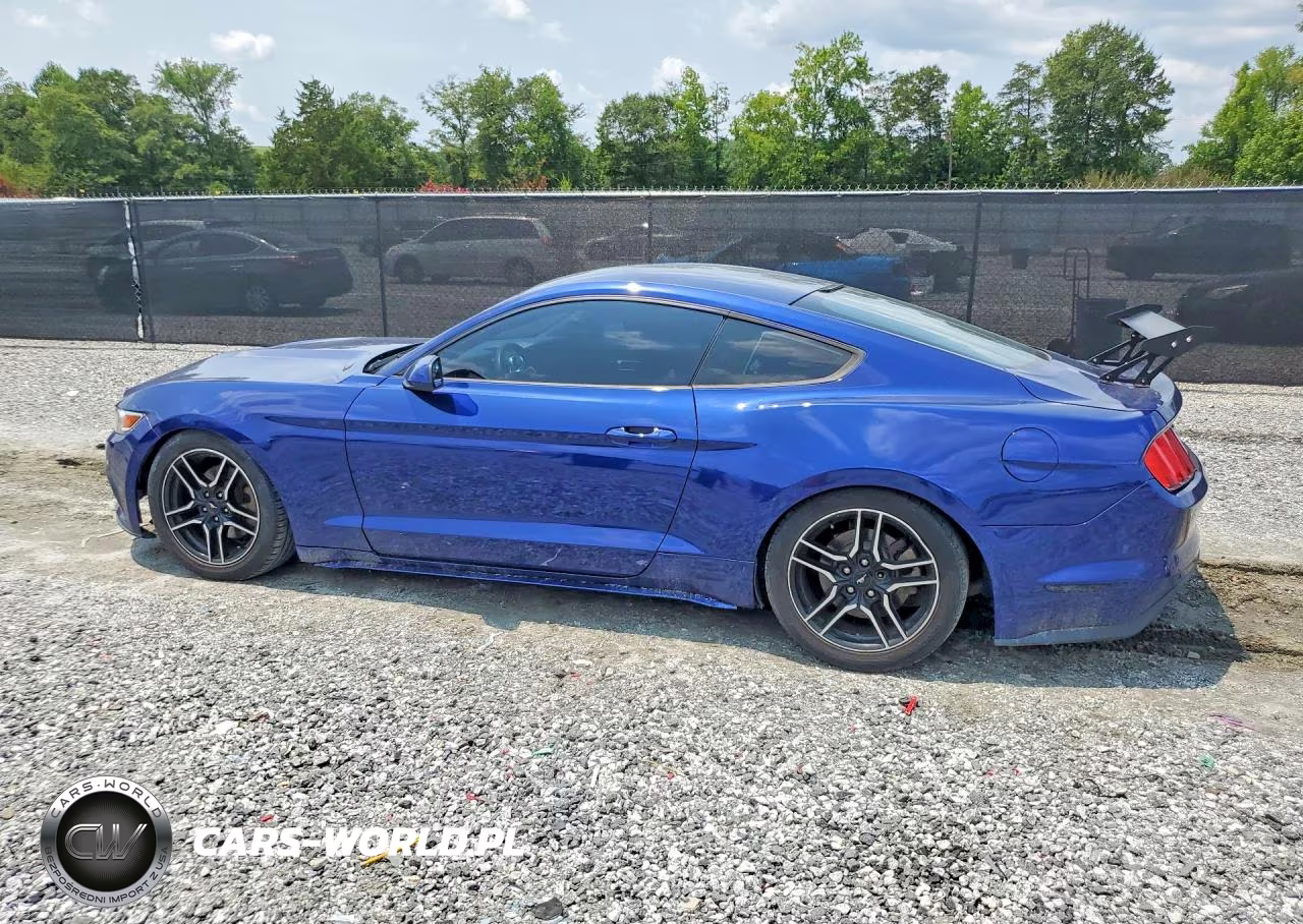 2015 Ford Mustang VIN:1FA6P8AM0F5384935 - 2