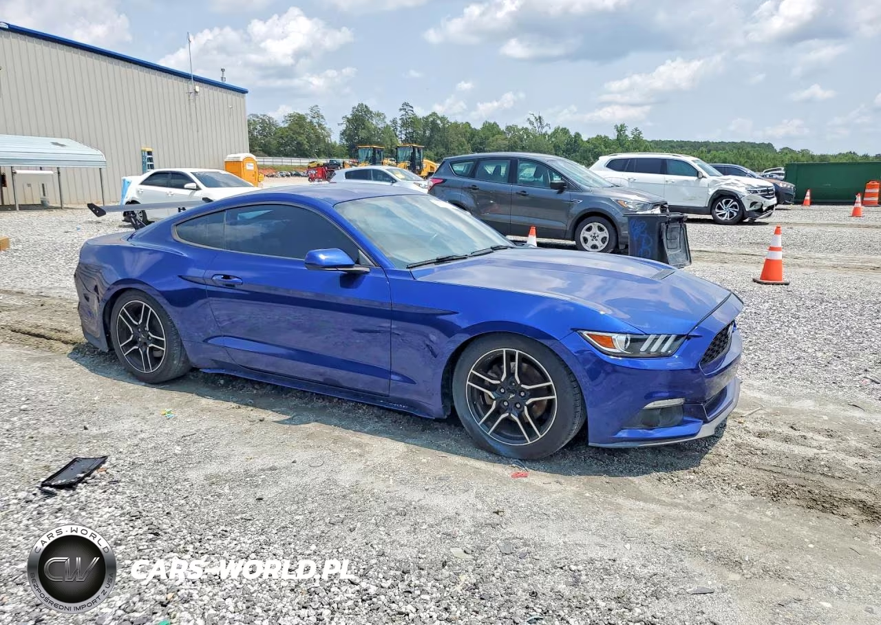 2015 Ford Mustang VIN:1FA6P8AM0F5384935 - 4