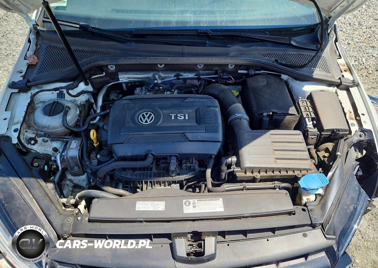2016 Volkswagen Golf S-Se VIN:3VW217AU7GM008200 - 11