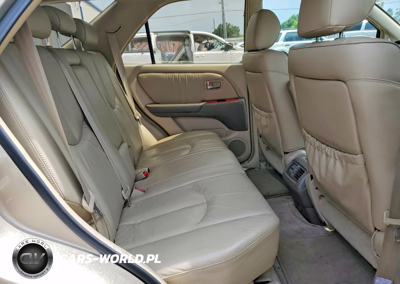2002 Lexus Rx 300 VIN:JTJHF10UX20268466 - 11