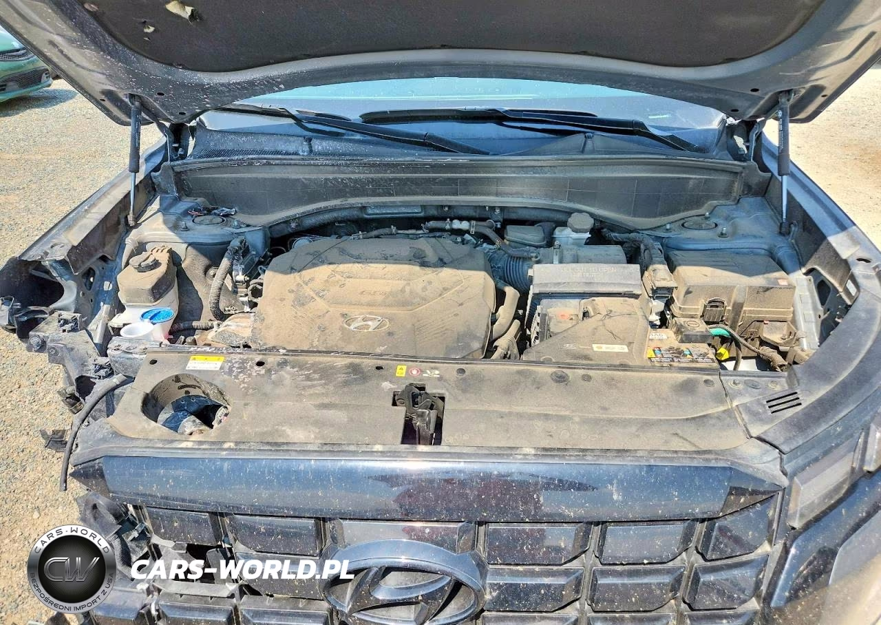 2024 Hyundai Palisade Sel VIN:KM8R2DGE3RU805678 - 12