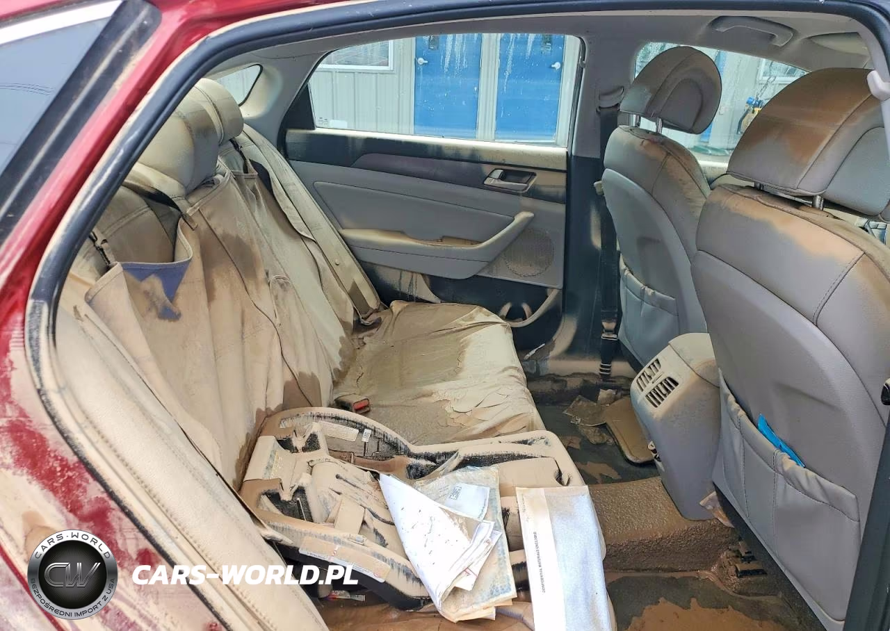 2016 Hyundai Sonata Sport VIN:5NPE34AF5GH389657 - 10