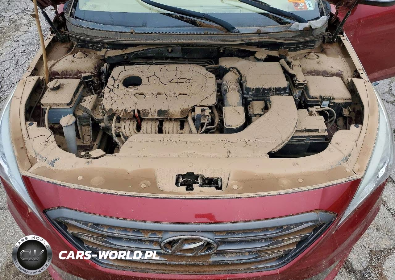 2016 Hyundai Sonata Sport VIN:5NPE34AF5GH389657 - 11