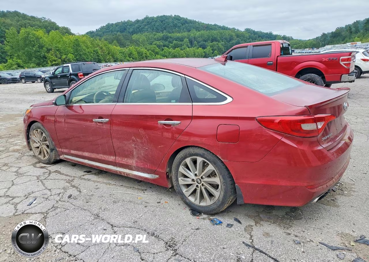 2016 Hyundai Sonata Sport VIN:5NPE34AF5GH389657 - 2