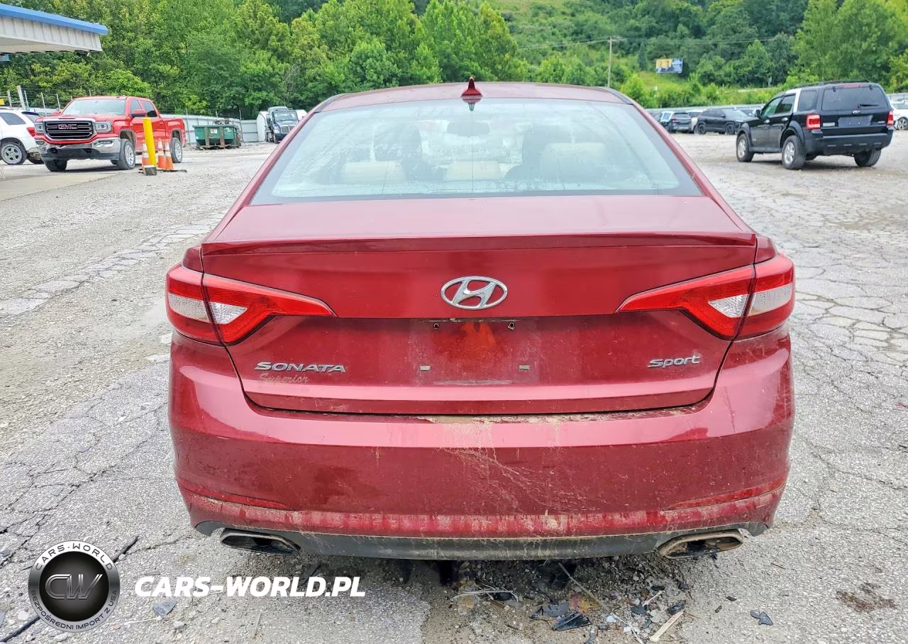 2016 Hyundai Sonata Sport VIN:5NPE34AF5GH389657 - 6