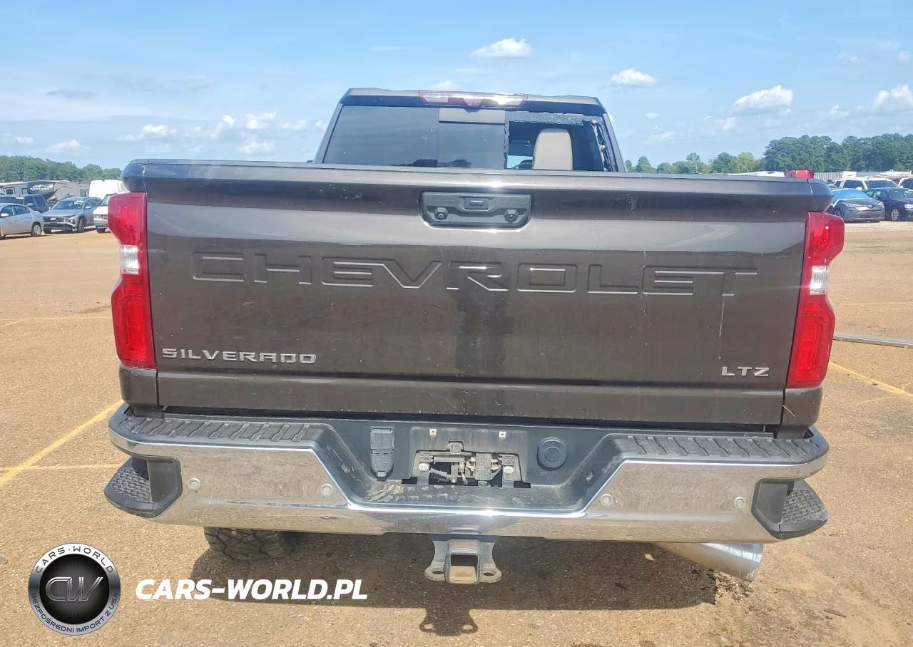 2021 Chevrolet Silverado K2500 Heavy Duty Ltz VIN:1GC4YPEY3MF253446 - 6