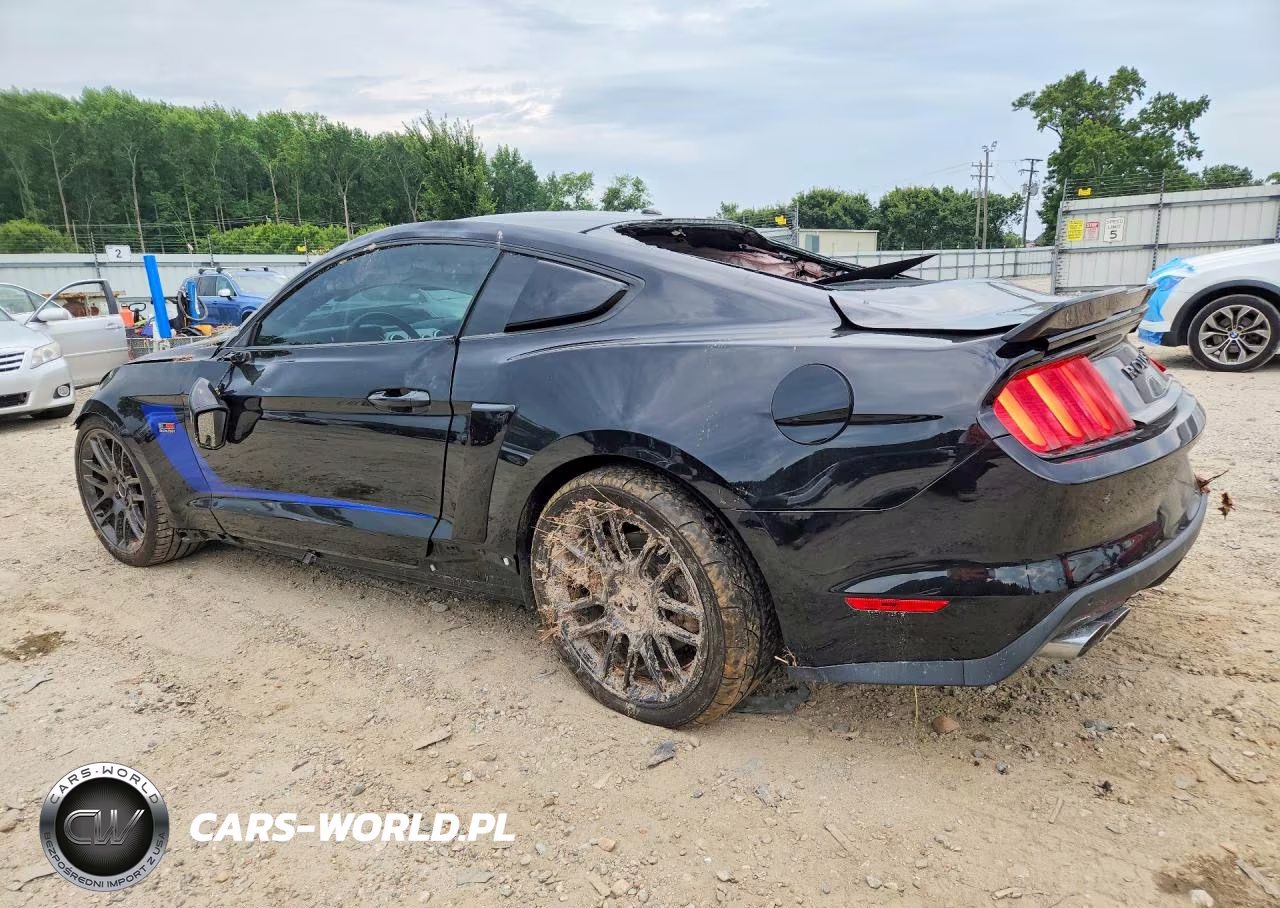 2017 Ford Mustang Gt VIN:1FA6P8CF6H5214371 - 2