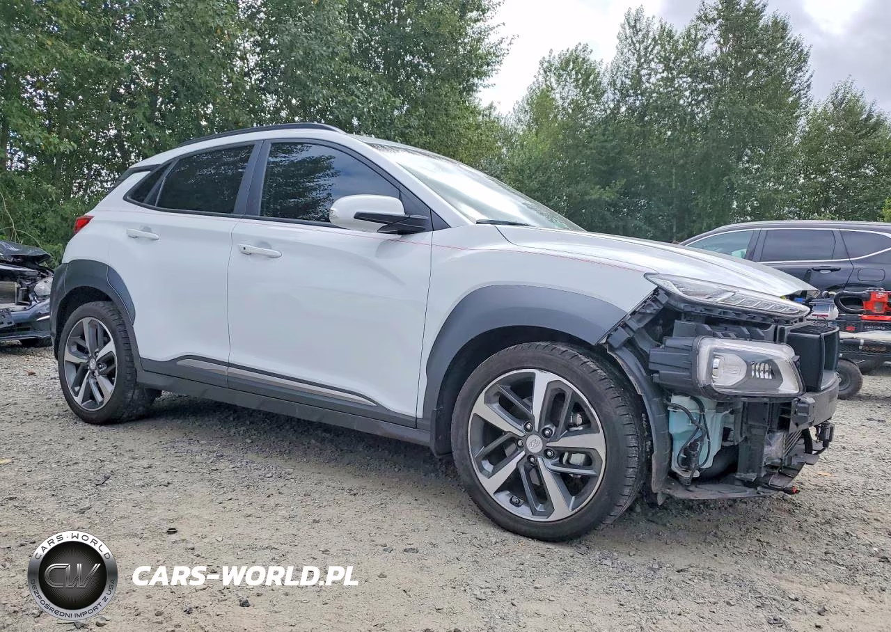 2019 Hyundai Kona Ultimate VIN:KM8K5CA57KU231636 - 4