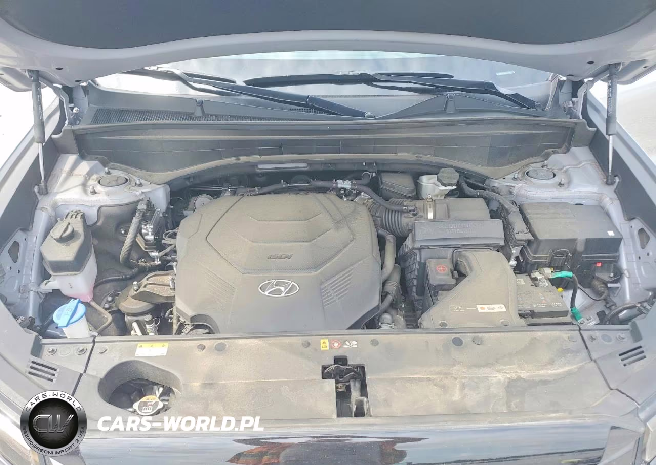 2025 Hyundai Palisade Sel VIN:KM8R24GE9SU951962 - 12