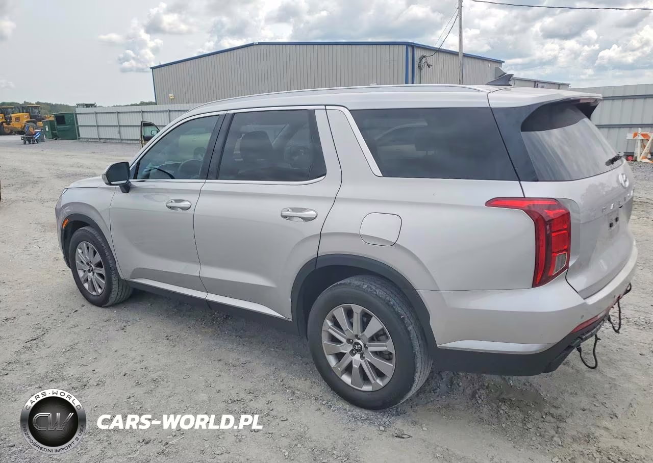 2025 Hyundai Palisade Sel VIN:KM8R24GE9SU951962 - 2