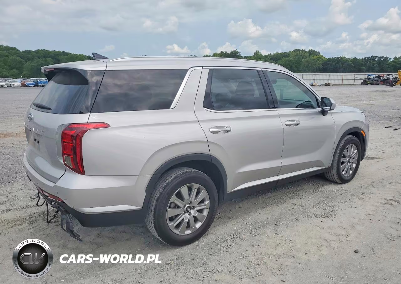 2025 Hyundai Palisade Sel VIN:KM8R24GE9SU951962 - 3