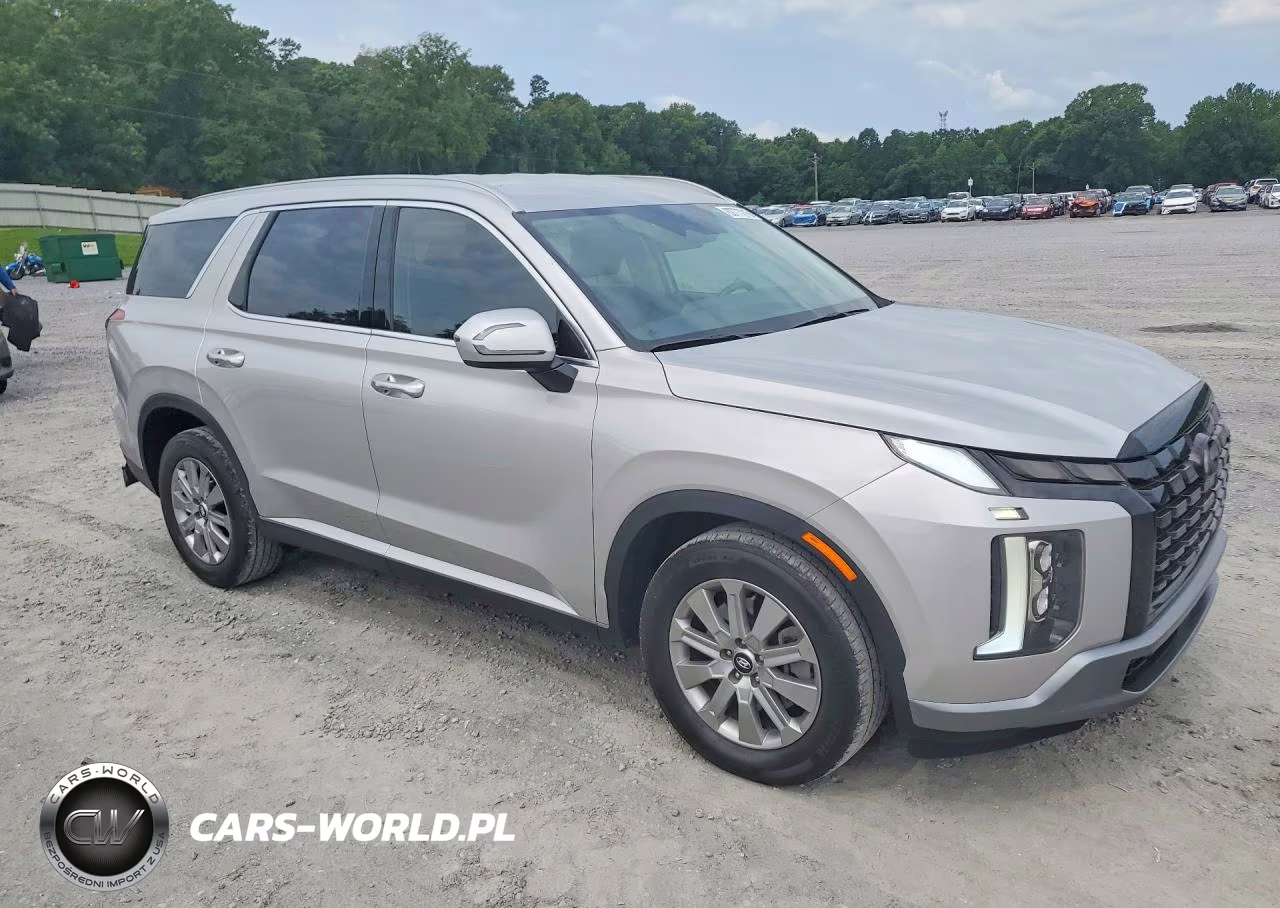 2025 Hyundai Palisade Sel VIN:KM8R24GE9SU951962 - 4