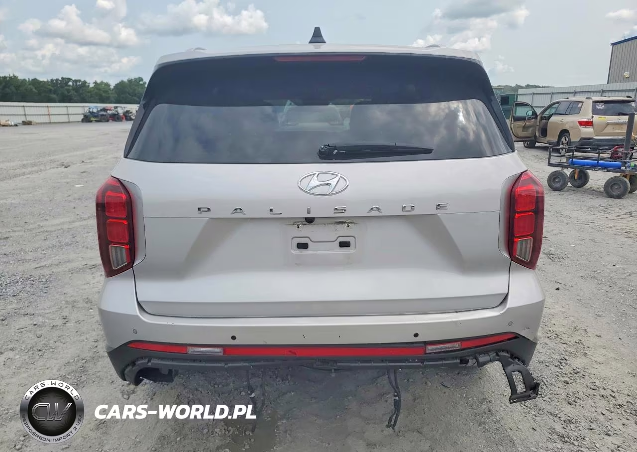 2025 Hyundai Palisade Sel VIN:KM8R24GE9SU951962 - 6