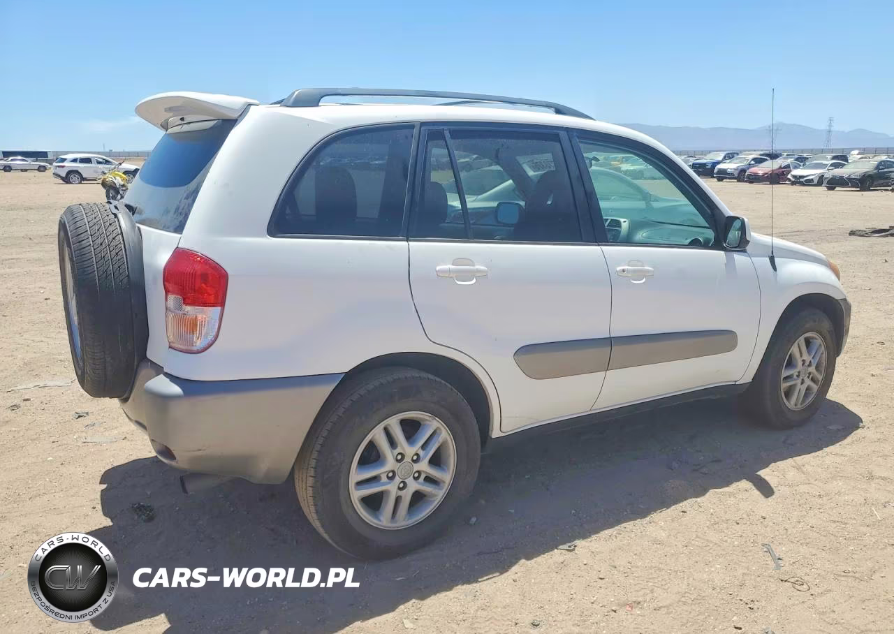 2001 Toyota Rav4 Base VIN:JTEGH20V110020396 - 3