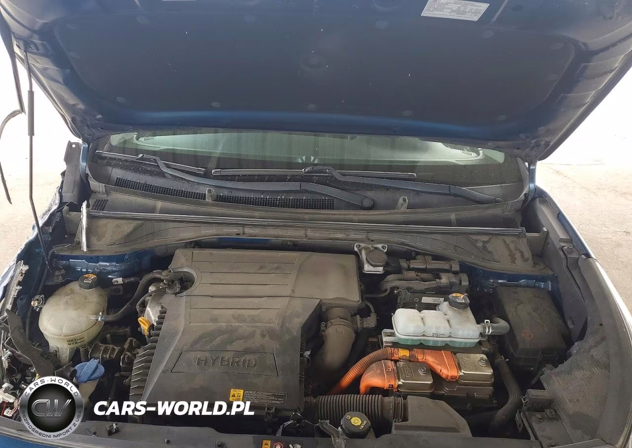 2019 Kia Niro Lx VIN:KNDCB3LC9K5252110 - 11