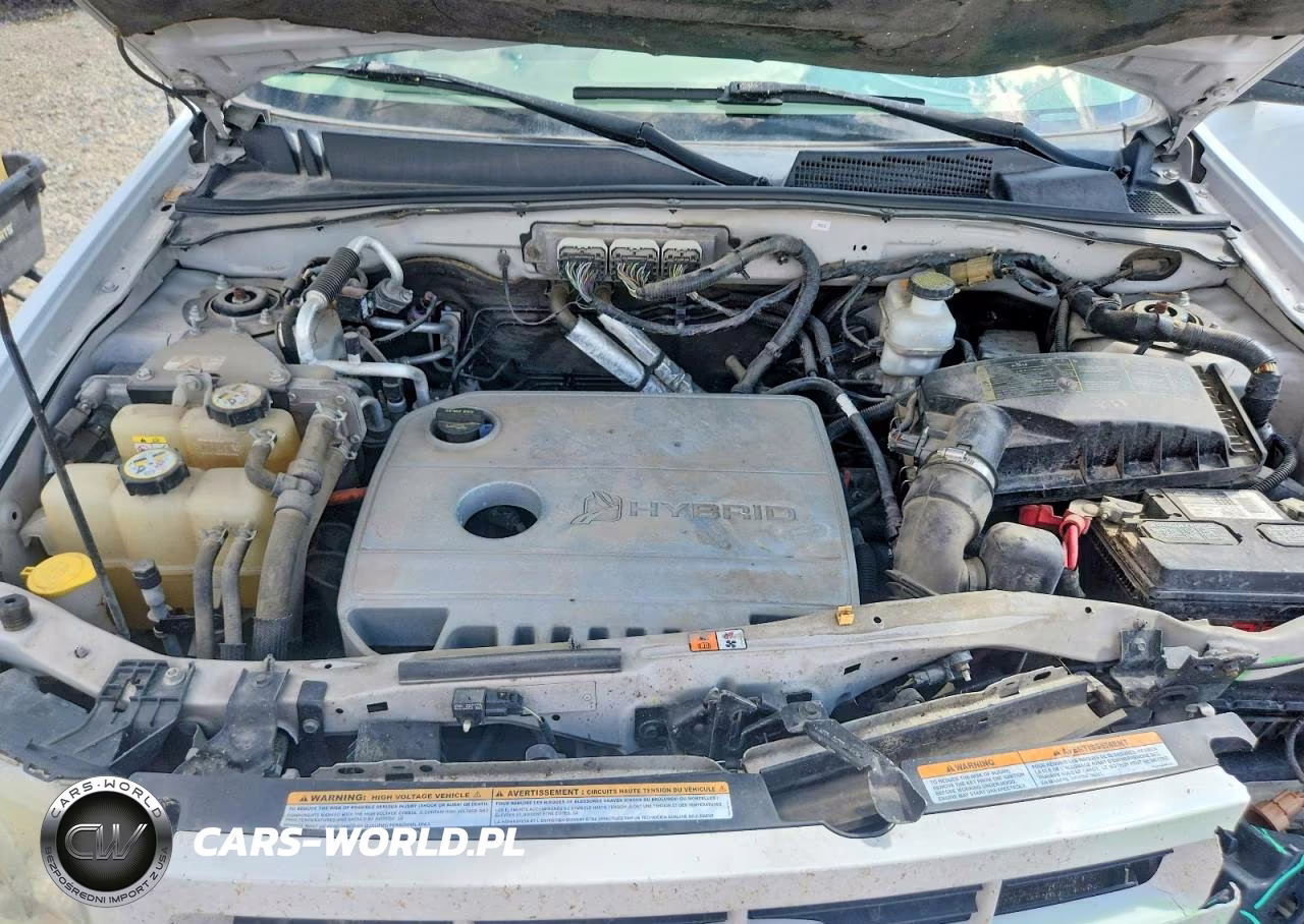 2009 Ford Escape Hybrid VIN:1FMCU59389KC39630 - 12
