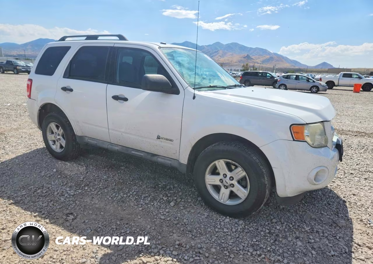 2009 Ford Escape Hybrid VIN:1FMCU59389KC39630 - 4