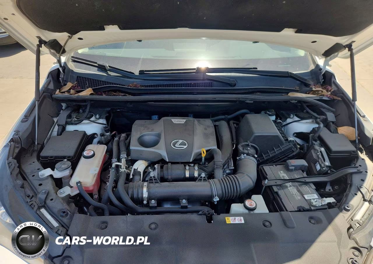 2021 Lexus Nx 300 Base VIN:JTJDARBZ7M5023411 - 12