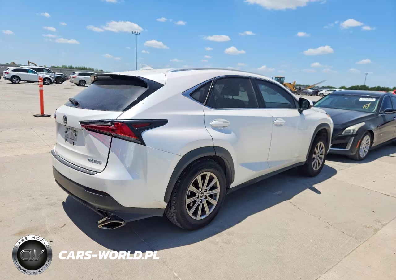 2021 Lexus Nx 300 Base VIN:JTJDARBZ7M5023411 - 3