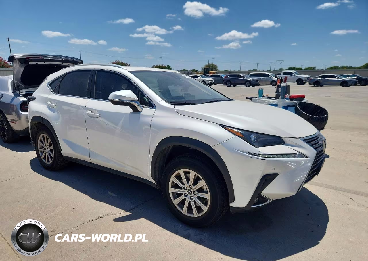 2021 Lexus Nx 300 Base VIN:JTJDARBZ7M5023411 - 4