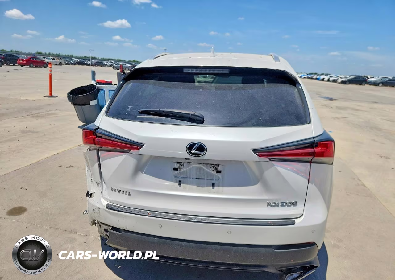 2021 Lexus Nx 300 Base VIN:JTJDARBZ7M5023411 - 6