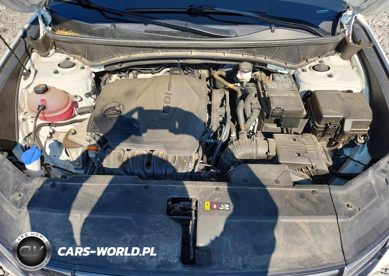 2023 Hyundai Tucson Sel VIN:5NMJBCAE8PH210138 - 12