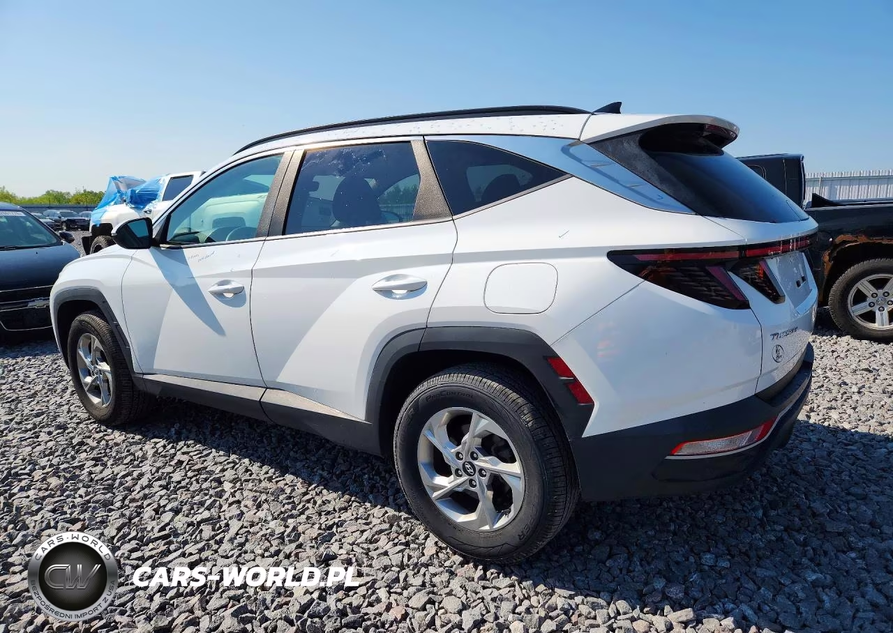 2023 Hyundai Tucson Sel VIN:5NMJBCAE8PH210138 - 2