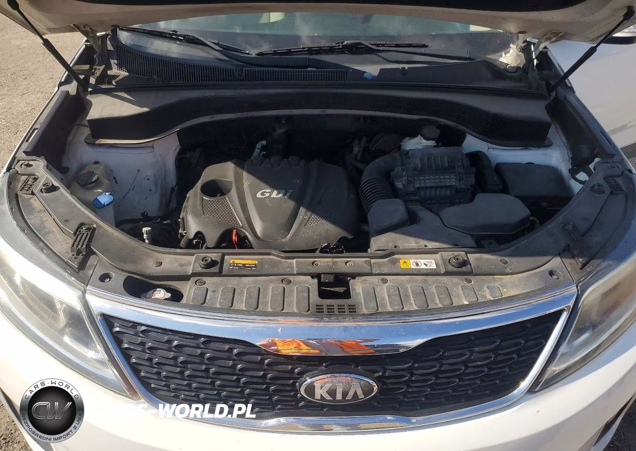 2014 Kia Sorento Lx VIN:5XYKT4A6XEG491222 - 12