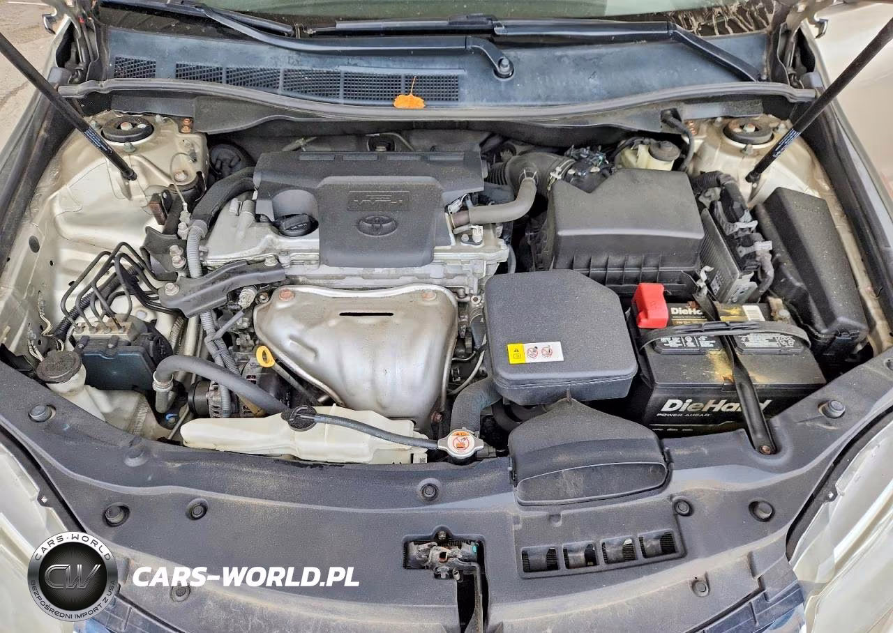 2017 Toyota Camry Xle VIN:4T1BF1FK9HU269619 - 11
