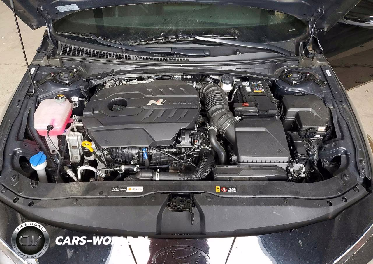 2025 Hyundai Elantra N Base VIN:KMHLW4DK3SU025934 - 11